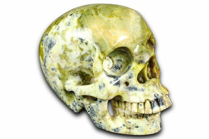 Realistic, Polished Yellow Turquoise Jasper Skull - Magnetic #382137